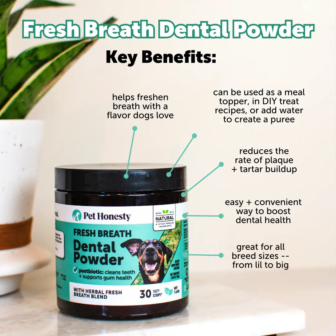 Pet Honesty Fresh Breath Dental Powder for Dogs (30 Servings) for Odor, Plaque and Tartar