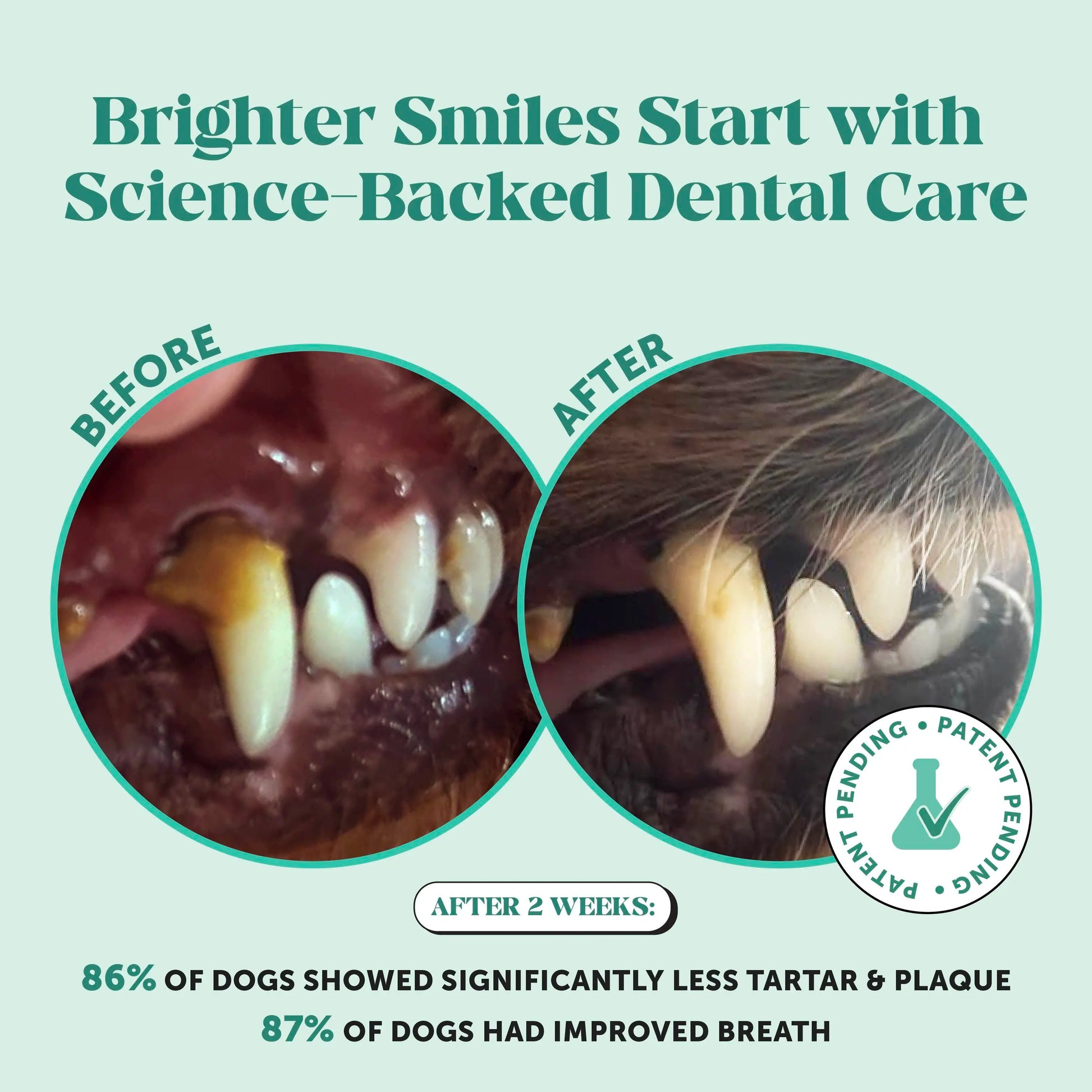 Pet Honesty Fresh Breath Dental Powder for Dogs (30 Servings) for Odor, Plaque and Tartar