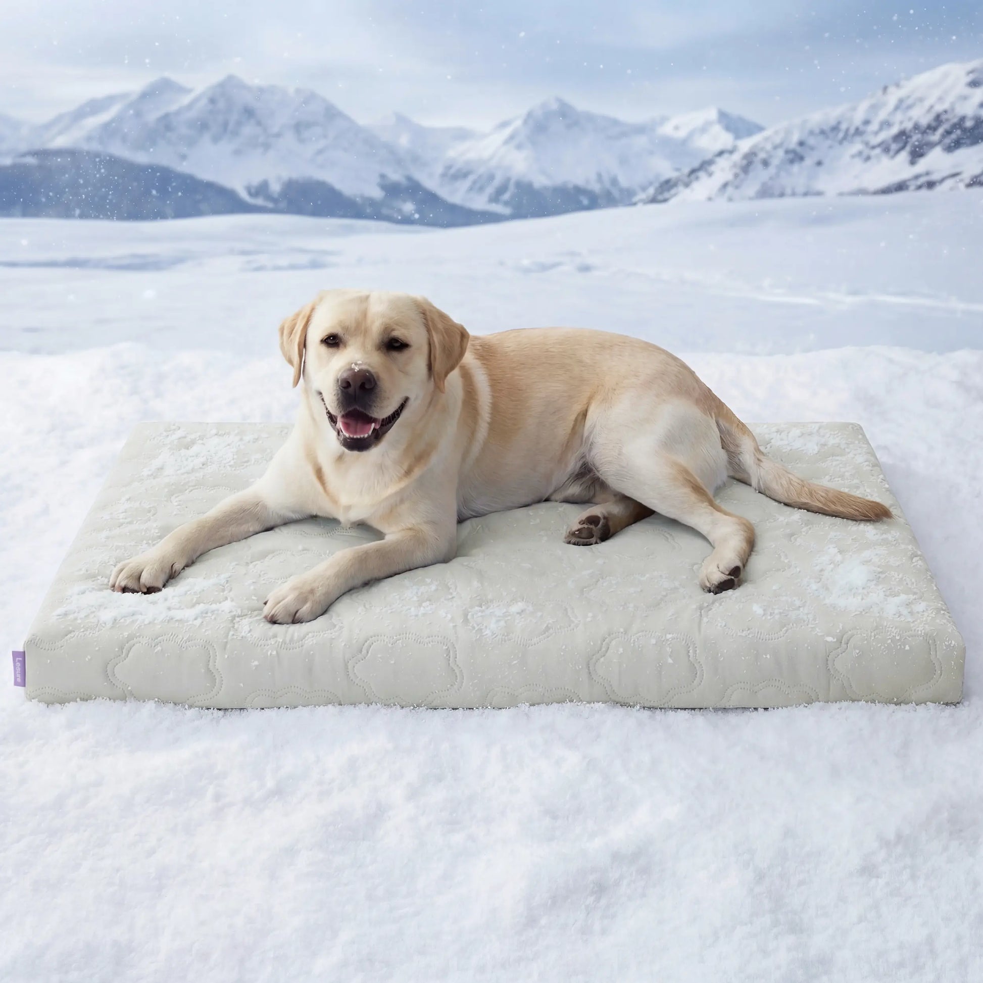 Bedsure Cooling Thin & Thick Mat for Dogs – Q-MAX>0.4 Washable Pet Cooling Pad, No Gel, No Electric, Non-Slip Summer Crate Bed for Large Dogs